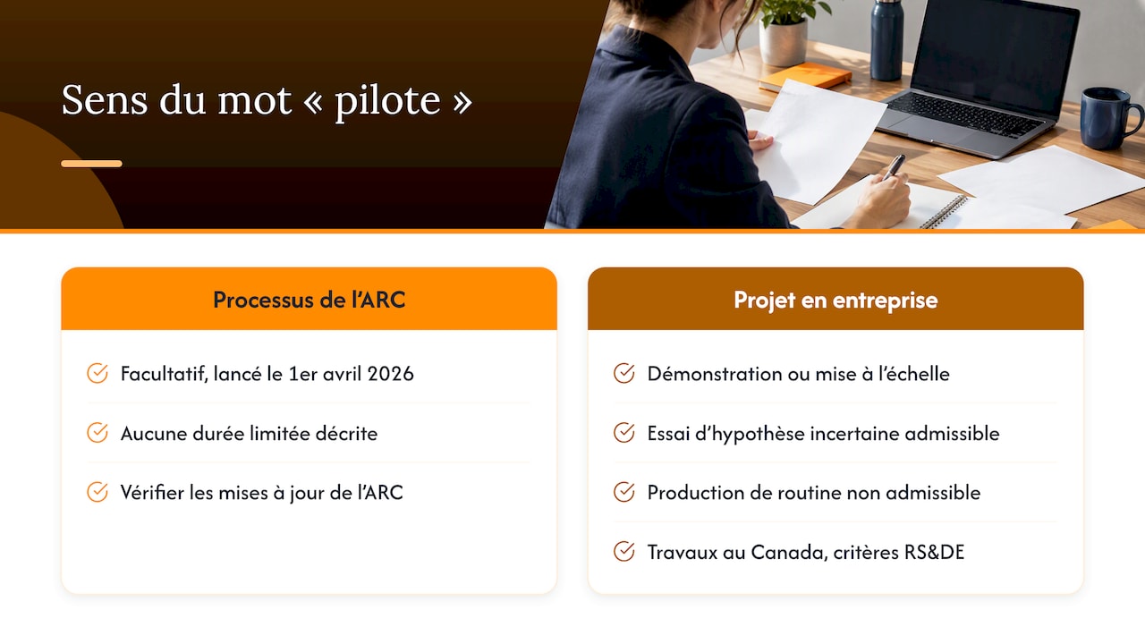 Ce que recouvre vraiment l'expression « projet pilote » — overview diagram